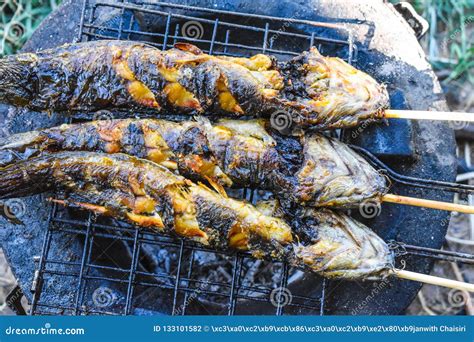 Grilled Catfish on Charcoal Cooking the Traditional People of ...