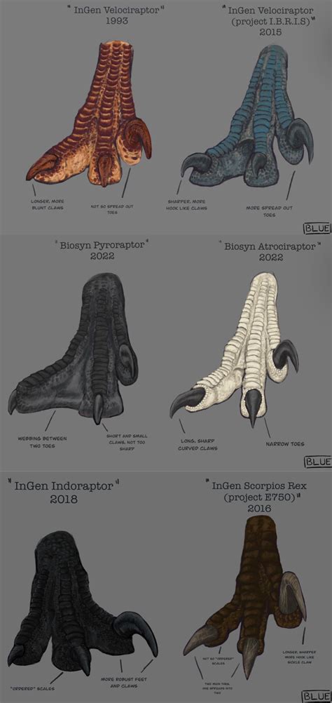 Jurassic park raptor toe claw comparison | Jurassic Park | Know Your Meme