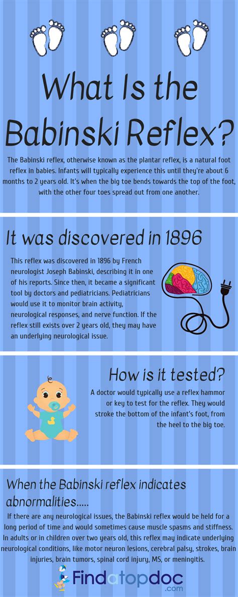 What Is the Babinski Reflex?