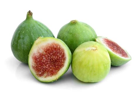 Kadota Fig Tree – Four Winds Growers Small Fruit Trees, Fruit Trees For Sale, Black Mission Fig ...