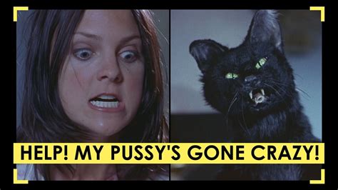 Cat Fight Scene — Cindy VS Mr. Kittles | Scary Movie 2 - YouTube