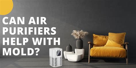 Can air purifiers help with mold? – Ameifu