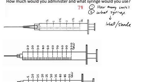 Insulin Calculation Worksheets