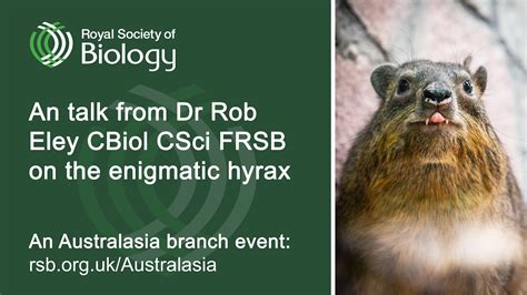 The Hyrax Revisited | Royal Society of Biology Australasia branch - YouTube