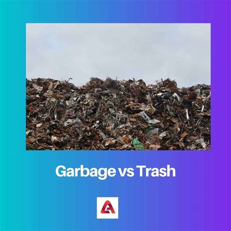 Garbage vs Trash: Difference and Comparison