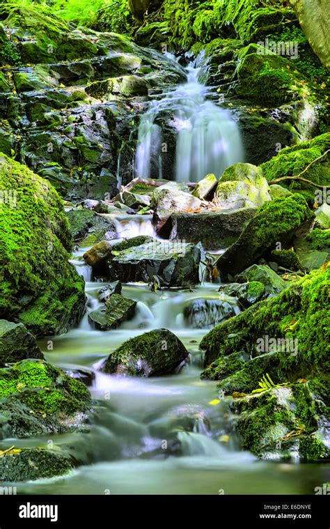 little waterfall in the woods Stock Photo - Alamy