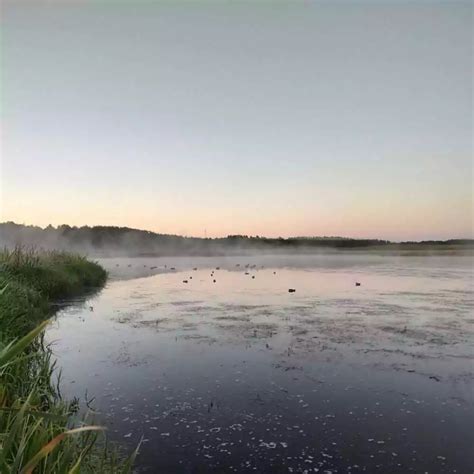 Duck hunting in September | Joins us on the first hunt of the season