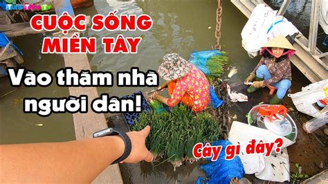 Cuộc sống bình dị của Người Miền Tây trên sông nước - YouTube