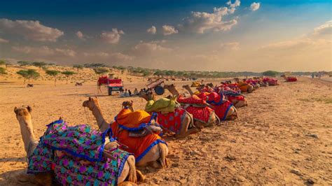 Thar Desert Safari - Best Rajasthan Desert Safari Tours - My Rajasthan Trip