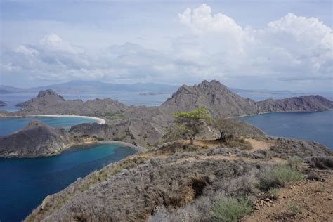 Padar Island, Pink Beach, Komodos & Mantas: Tagesausflug von Labuan ...