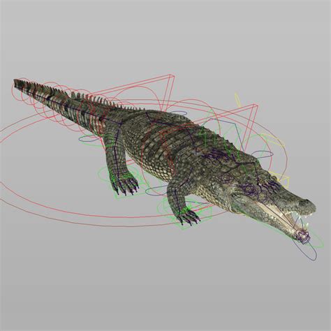 realistic crocodile animation 3d model