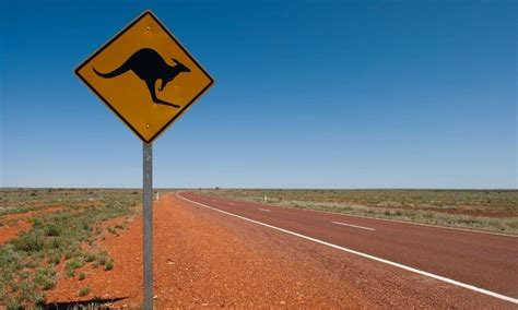 Australian Road Signs And Meanings Guide 2023 | TTFS | Blog