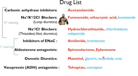 Diuretics Flashcards | Quizlet