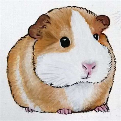 Cute Guinea Pig Drawings at PaintingValley.com | Explore collection of Cute Guinea Pig Drawings