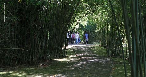 Vinh Moc Tunnels – A Famous Historical Relic in Vietnam