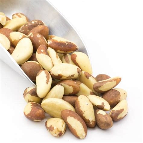 Whole Organic Brazil Nuts 44 lbs. - Bulk Nuts 4 You