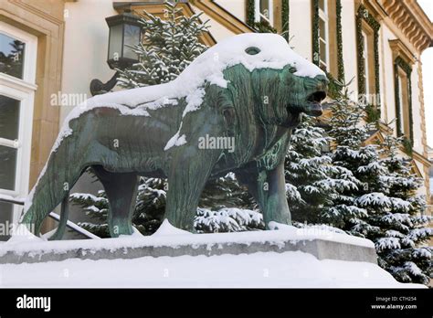 The bronze statue of a lion and Xmas trees covered with snow in front ...