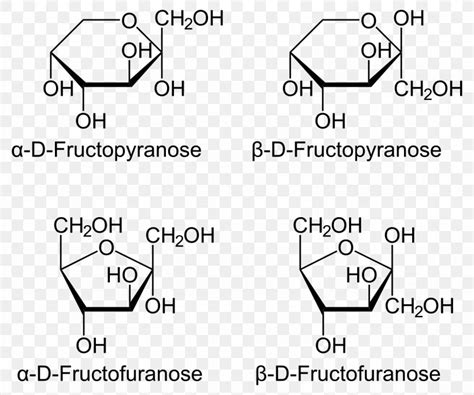 Fructose Haworth Projection Psicose Anomer Mannose, PNG, 1226x1024px, Fructose, Allose, Anomer ...