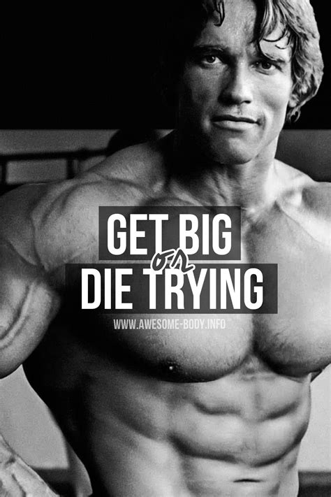 Arnold Schwarzenegger Bodybuilding Poster