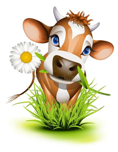 Jersey cow in grass royalty free illustration | Cow cartoon images ...