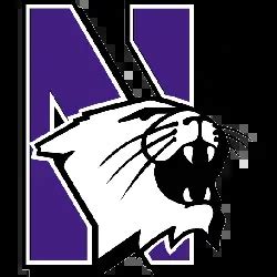 Northwestern Wildcats Primary Logo | SPORTS LOGO HISTORY