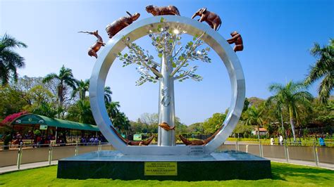 Nehru Zoological Park in Hyderabad, Telangana | Expedia