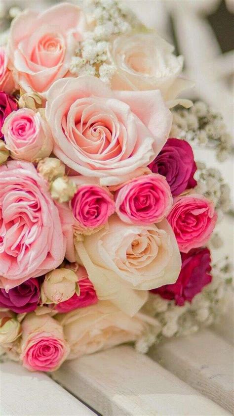 wallpaper bunga,flower,pink,garden roses,rose,bouquet (#20081) - WallpaperUse