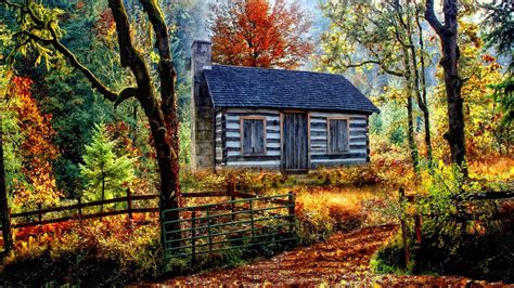 Cabin in the Woods Wallpaper - WallpaperSafari