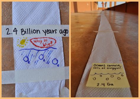 Toilet Paper Timeline | Turkana Basin Institute