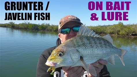 Grunter / Javelin Fish Bait and Lure Tips with Paul Chew - YouTube