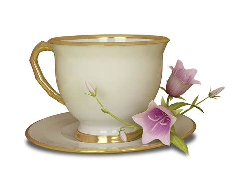 Cream and Gold Tea Cup with Pink Flower Large Transparent Clipart - ClipArt Best - ClipArt Best