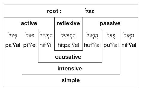 Modern Hebrew verbs - Wikipedia