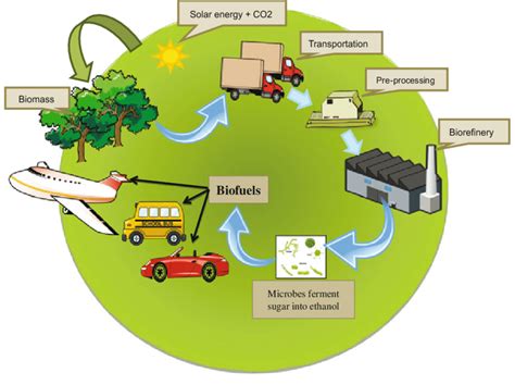 Memahami Ragam Jenis Biofuel dan Manfaatnya - PT SHA SOLO