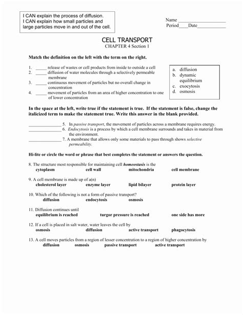 50 Active And Passive Transport Worksheet