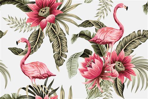 Flamingo Wallpaper