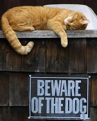 Funny beware dog signs ~ Funny images and Jokes