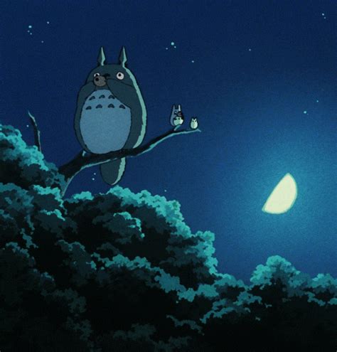 tonari no totoro gifs | WiffleGif