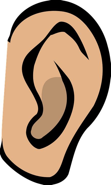 Free vector graphic: Ear, Listen, Hear, Gossip, Sound - Free Image on Pixabay - 25595