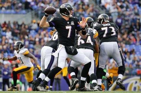 Ravens stun Steelers, 20-17, behind Ryan Mallett, solid defense - The ...