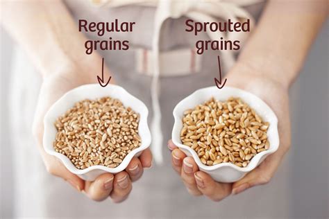 What Are Sprouted Grains? Regular vs. Sprouted Grains