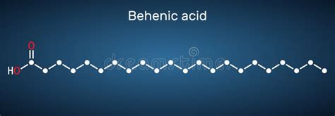 Behenic Acid, Molecule. it is Docosanoic Acid, Straight-chain, Long-chain Saturated Fatty Acid ...