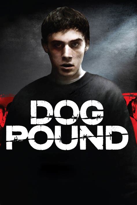 Dog Pound - Rotten Tomatoes