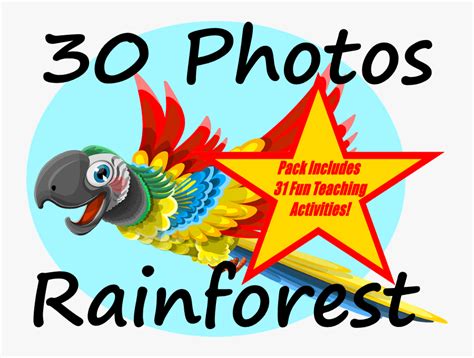 30 Photos Of The Amazon Rainforest 31 Fun Teaching - Cartoon , Free ...