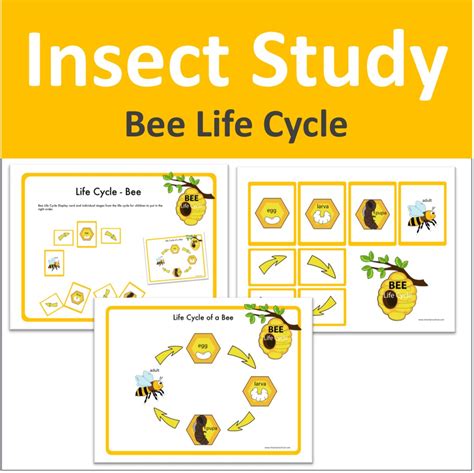 Insect Study - I HEART PRESCHOOL