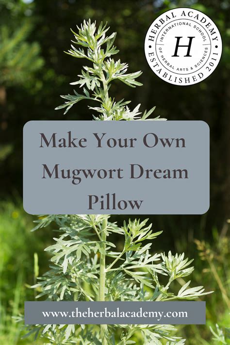 Mugwort Dream Pillow for Natural Sleep Aid – Herbal Academy