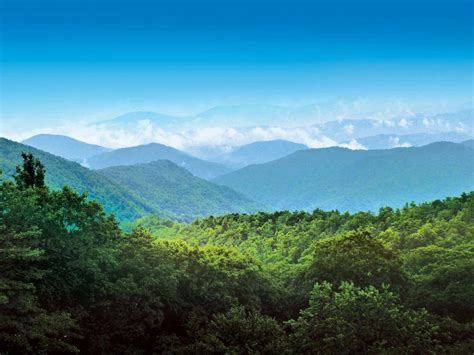 The Best of Blue Ridge, GA (2021) | Explore Georgia, Official Travel Site