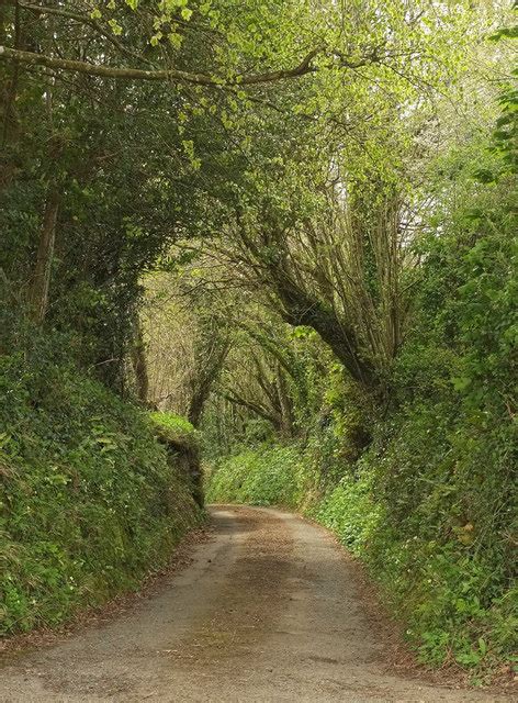 Lane to Belsford Mill © Derek Harper cc-by-sa/2.0 :: Geograph Britain and Ireland