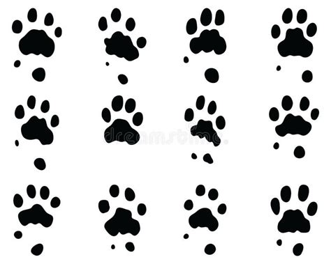 Black print of jaguar paw stock image. Image of solitude - 193433955