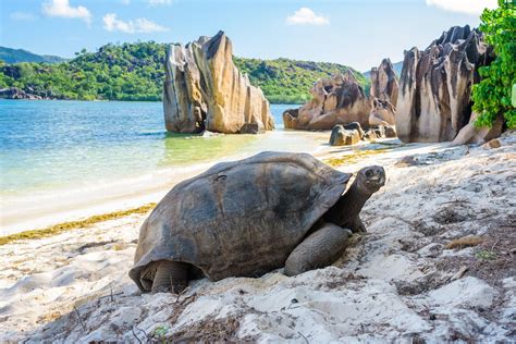 Protecting the Paradise of Praslin Island, Seychelles