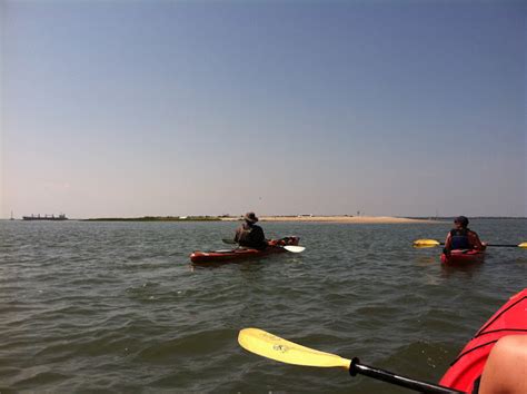 Kayaking on Shem Creek - Caroline in the City Travel Blog